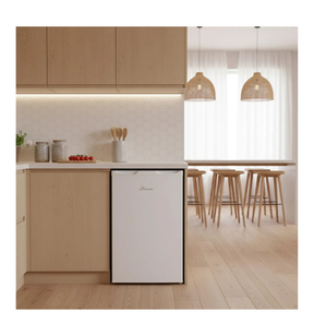 Freezer Vertical Siam Fsi-cv065b 65 Litros Blanco